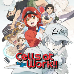 Watch the latest Cells at Work! S2 Episode 3 online with English