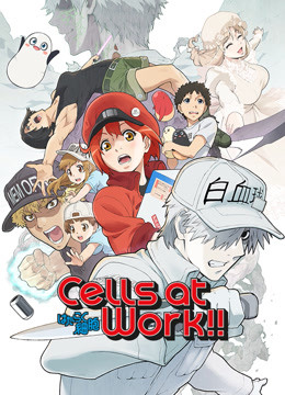Cells at Work! Season 2 (sub) Episode 4 Eng Sub - Watch legally on