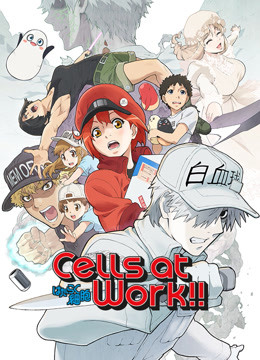 Cells at Work - Cells at Work!! Season 2 and Cells at