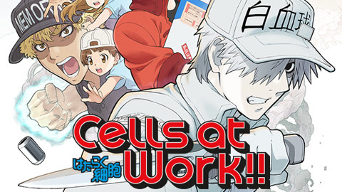 Watch the latest Cells at Work! S2 Episode 1 with English subtitle – iQIYI  