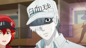 Assistir Hataraku Saibou 2 (Cells at Work!) - Episódio 006 Online em HD -  AnimesROLL