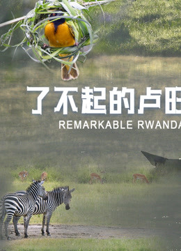 了不起的卢旺达海报