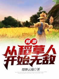 网游：从稻草人开始无敌