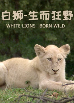 白狮—生而狂野}