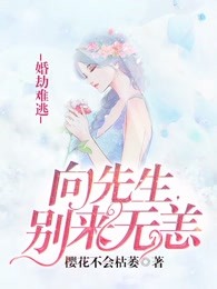 婚劫难逃：向先生，别来无恙