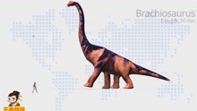 史上最全恐龙高度对比三