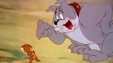 猫和老鼠：杰瑞结交了新朋友，只要吹口哨，就来帮助他