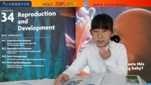 HOLT Biology 34Reproduction and Development 常荣讲高中生物