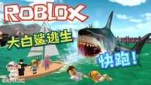 Roblox鲨鱼生存