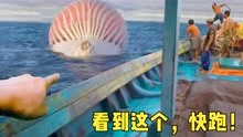 [图]6种危险的海洋生物，海洋巨物座头鲸，看到赶快远离！