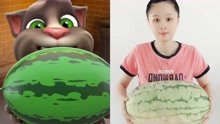 [图]会说话的汤姆猫：汤姆猫PK小玲吃这么大的西瓜！谁肚子更大？