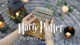 拇指琴演奏《哈利波特》主题曲Hedwig’s Theme 神秘空灵