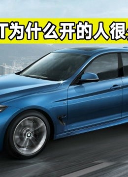 豆柴さん専用 GT-100 - kaigo-asahi.com