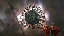 《免疫系统大战病毒细菌》片花 新冠来袭中国医生破解血栓之谜