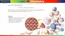 HOLT Chemistry14-2 Syatens at Equilibrium常荣霍尔特高中化学
