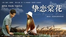 線上看 摯戀棠花 (2018) 帶字幕 中文配音，國語版
