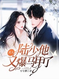 夫人，陆少他又爆马甲了
