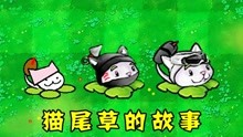 [图]植物大战僵尸：猫尾草的成长史！