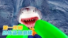 你玩过最恐怖的鲨鱼滑梯吗？第一视角锤锤带你体验鲨鱼滑梯！