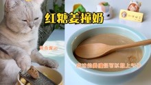 猫王：红糖姜撞奶，暖暖的很贴心
