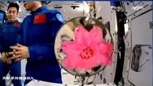 开讲了！空间站内王亚平用花朵折纸做水膜实验，让她想起女儿