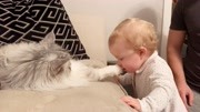 猫咪正在睡觉，宝宝偷偷亲吻它，下一秒猫咪的反应暖心了！