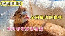 [图]小伙收养流浪猫12年，对主人龇牙咧嘴超凶，却被主人和爷爷宠上天