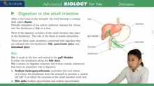 P155Digestion small intestine常荣讲大学生物BIOLOGY OXFORD