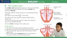 P167 Cardiac cycle 常荣讲大学生物 Advanced BIOLOGY OXFORD