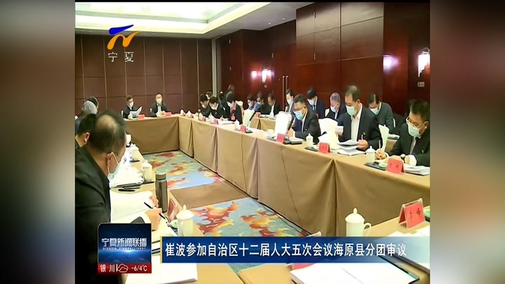 崔波参加自治区十二届人大五次会议海原县分团审议