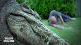 百万巨鳄：几百斤的鳄鱼，却被一把小手枪干掉，死还流下泪水！