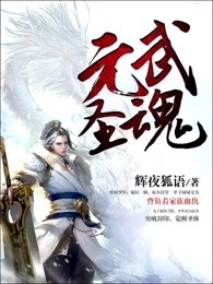 元武圣魂