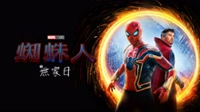 線上看 蜘蛛人：無家日 (2021) 帶字幕 中文配音，國語版