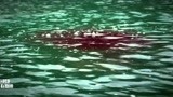 百万巨鳄：湖面上飘着血迹，警官不淡定了！钻进水里救人！