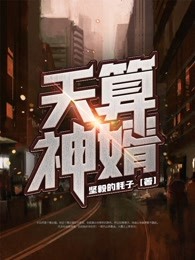 天算神婿