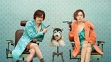 《爱犬奇缘》宣布延期上映 已有多部电影退出520档期