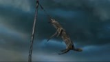 狼图腾：野狼的尸体被高高挂起，狼群看见彻底怒了，场面太惨烈了