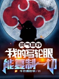 灵气复苏：我的写轮眼能复制一切