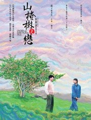 山楂树之恋（2010）