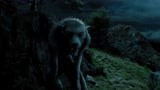 哈利波特3：教授在月圆之日，化身成了狼人，好恐怖