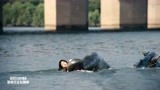 汉江怪物：女儿被怪物抓走，小伙子跳入水中，依旧救不了她！