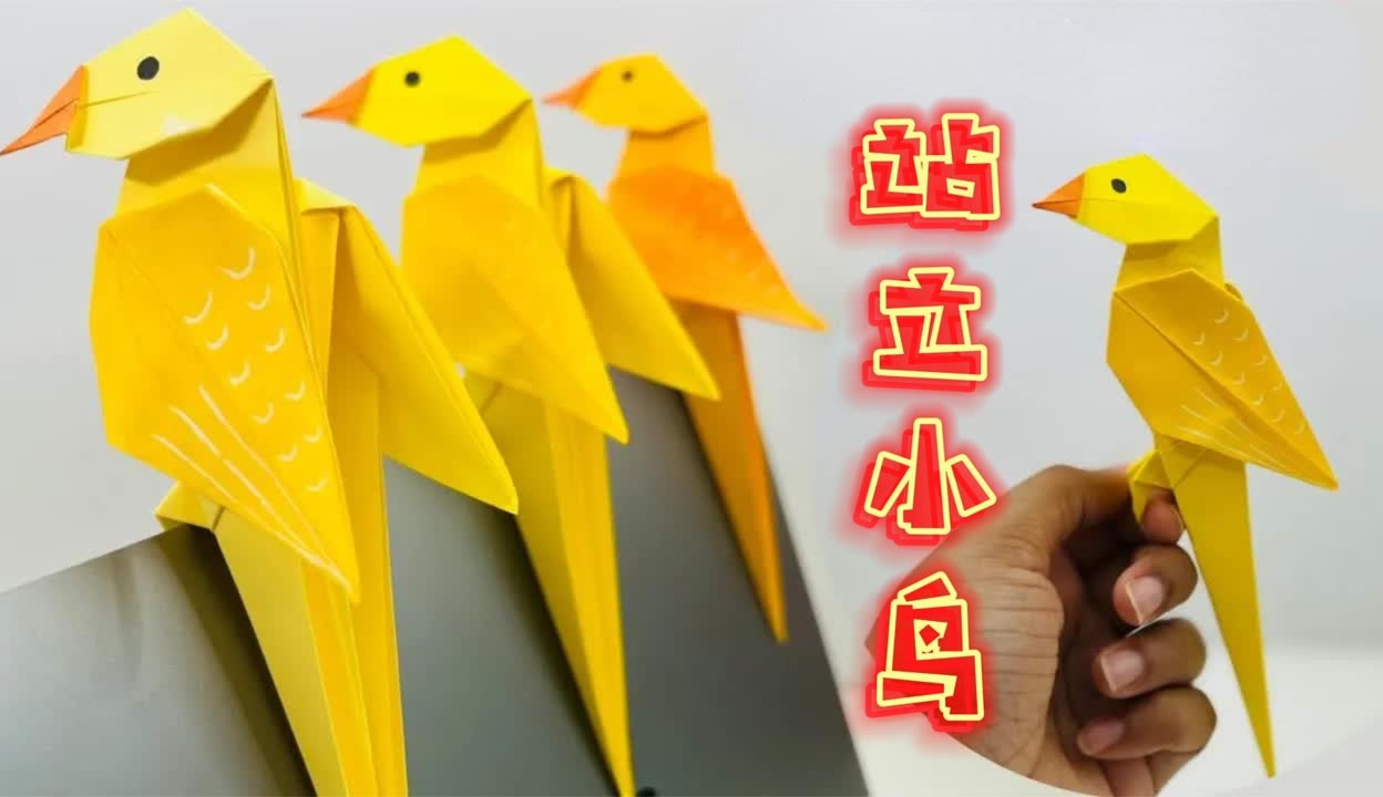 小鸟幼儿园图片