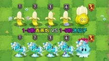 1-5阶香蕉VS1-5阶冰仙子