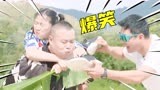 《极限挑战宝藏行3》岳云鹏与金靖暴吐水压枪，这次真笑喷了！
