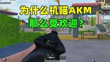 为什么机瞄AKM受欢迎？