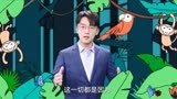 今日宜加油：职场小透明，变成打工之神，成为大家庇护