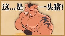 中国各个地区，如何分食一头猪？