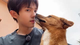 vlog：李昊和红包贴贴好有爱 又是羡慕小狗的一天