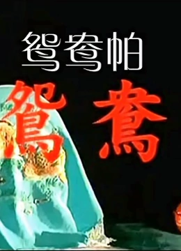 海报背景