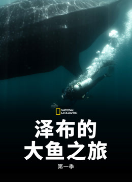 泽布的大鱼之旅第一季
